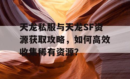 天龙私服与天龙SF资源获取攻略，如何高效收集稀有资源？