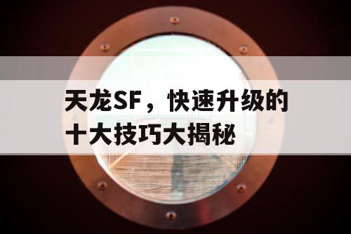 天龙SF，快速升级的十大技巧大揭秘