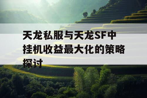 天龙私服与天龙SF中挂机收益最大化的策略探讨