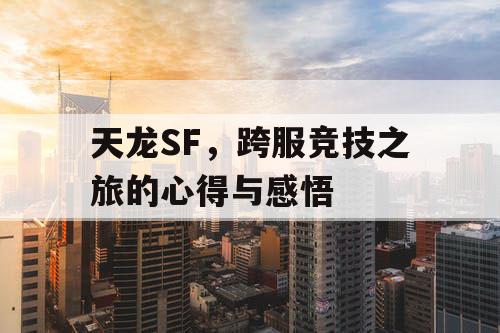 天龙SF，跨服竞技之旅的心得与感悟