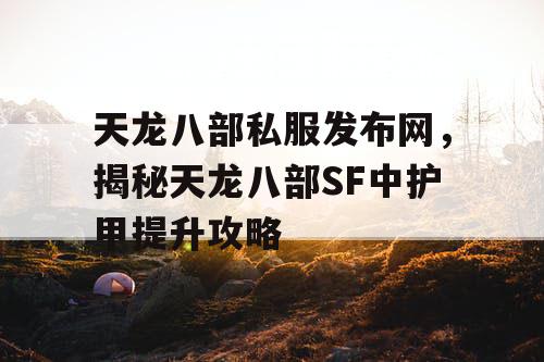 天龙八部私服发布网，揭秘天龙八部SF中护甲提升攻略