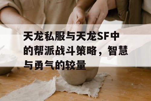 《天龙私服》与《天龙SF》中的帮派战斗策略，智慧与勇气的较量