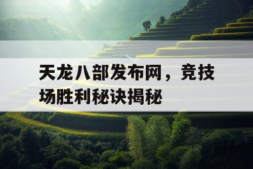 天龙八部发布网，竞技场胜利秘诀揭秘