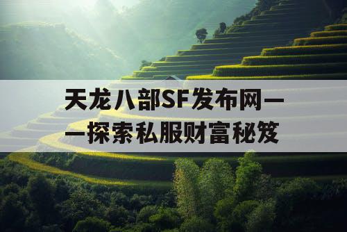 天龙八部SF发布网——探索私服财富秘笈