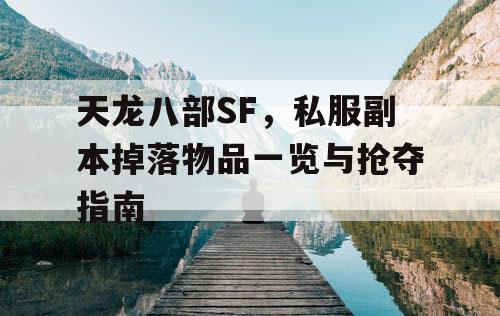 天龙八部SF，私服副本掉落物品一览与抢夺指南