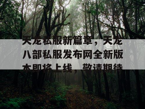 天龙私服新篇章，天龙八部私服发布网全新版本即将上线，敬请期待