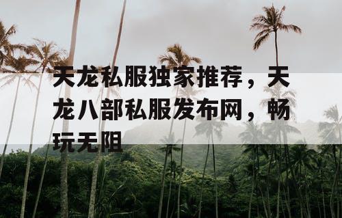 天龙私服独家推荐，畅玩无阻