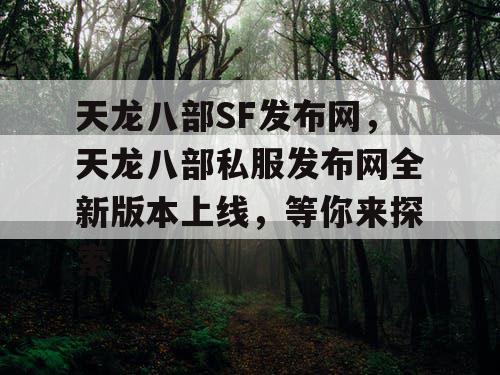 天龙八部SF发布网，天龙八部私服发布网全新版本上线，等你来探索