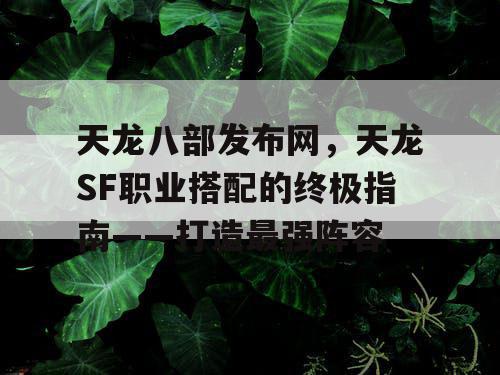 天龙八部发布网，天龙SF职业搭配的终极指南——打造最强阵容