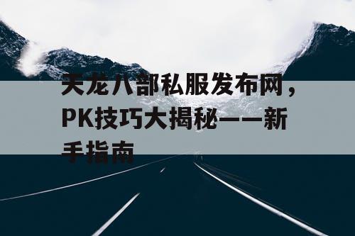 天龙八部私服发布网，PK技巧大揭秘——新手指南