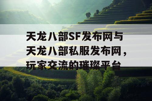 天龙八部SF发布网与天龙八部私服发布网，玩家交流的璀璨平台