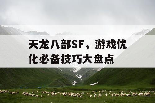 天龙八部SF：游戏优化必备技巧大盘点