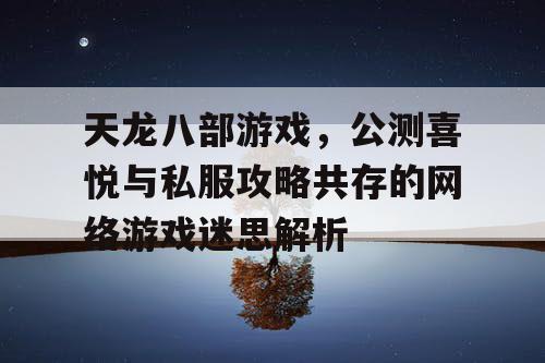 天龙八部游戏，公测喜悦与私服攻略共存的网络游戏迷思解析