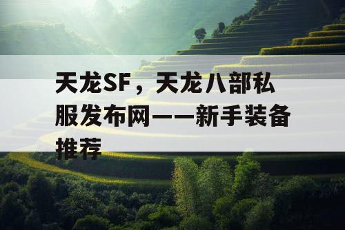 天龙SF，天龙八部私服发布网——新手装备推荐