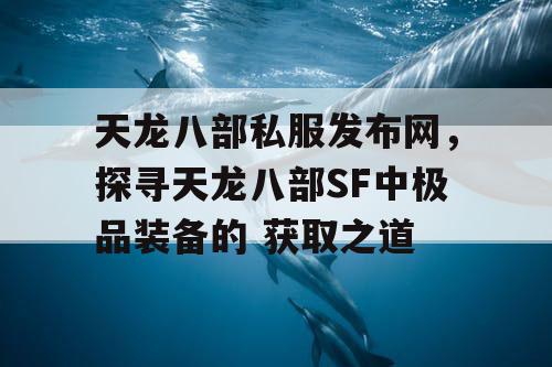 天龙八部私服发布网，探寻天龙八部SF中极品装备的 获取之道