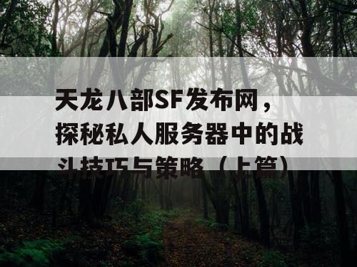 天龙八部SF发布网，探秘私人服务器中的战斗技巧与策略（上篇）