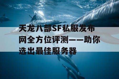 天龙八部SF私服发布网全方位评测——助你选出最佳服务器