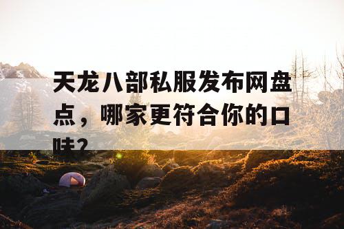 天龙八部私服发布网盘点，哪家更符合你的口味？