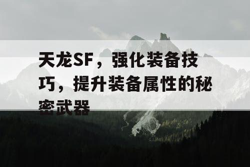 天龙SF，强化装备技巧，提升装备属性的秘密武器