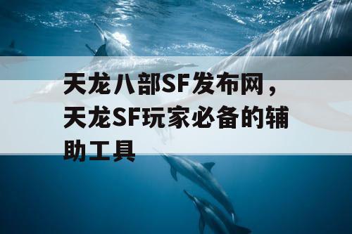 天龙八部SF发布网，天龙SF玩家必备的辅助工具