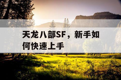 天龙八部SF，新手如何快速上手