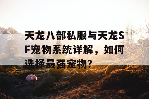 天龙八部私服与天龙SF宠物系统详解，如何选择最强宠物？