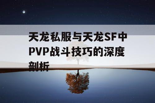 天龙私服与天龙SF中PVP战斗技巧的深度剖析