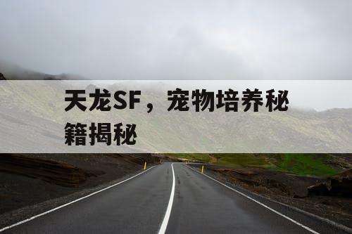 天龙SF，宠物培养秘籍大揭秘