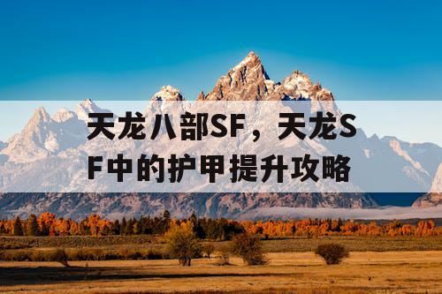 天龙八部SF，天龙SF中的护甲提升攻略