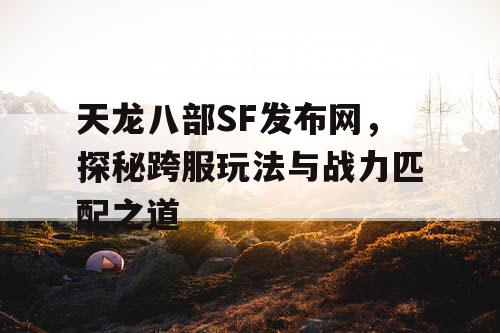 天龙八部SF发布网，探秘跨服玩法与战力匹配之道