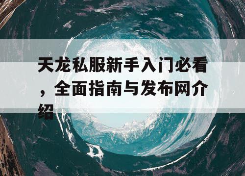 天龙私服新手入门必看，全面指南与发布网介绍