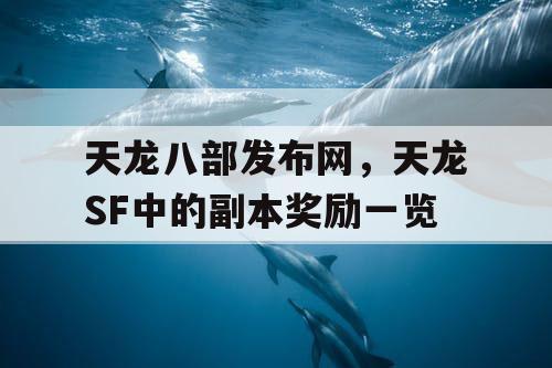 天龙八部发布网，天龙SF中的副本奖励一览