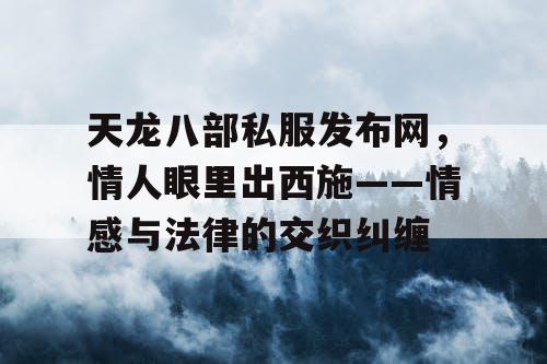 天龙八部私服发布网，情人眼里出西施——情感与法律的交织纠缠