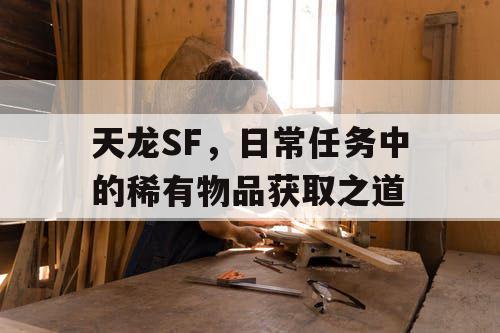 天龙SF，日常任务中的稀有物品获取之道