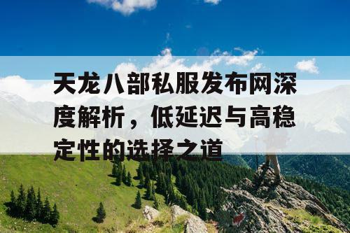 天龙八部私服发布网站深度解析，低延迟与高稳定性的选择之道