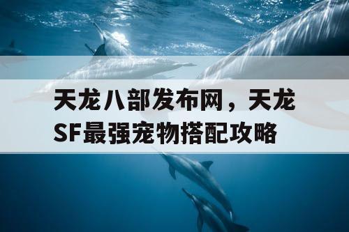 天龙八部发布网，天龙SF最强宠物搭配攻略