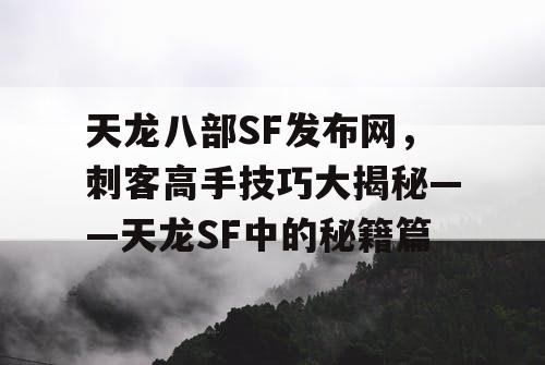 天龙八部SF发布网，刺客高手技巧大揭秘——天龙SF中的秘籍篇