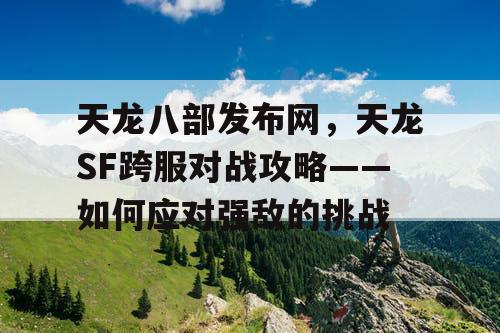 天龙八部发布网，天龙SF跨服对战攻略——如何应对强敌的挑战