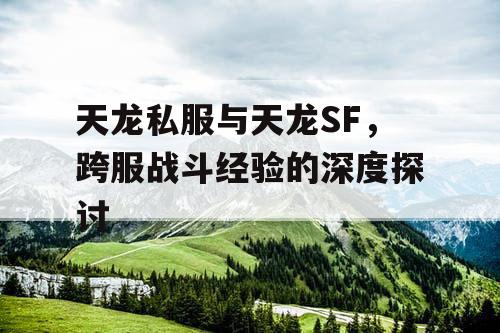 天龙私服与天龙SF，跨服战斗经验的深度探讨