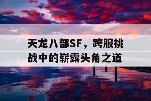 天龙八部SF，跨服挑战中的崭露头角之道