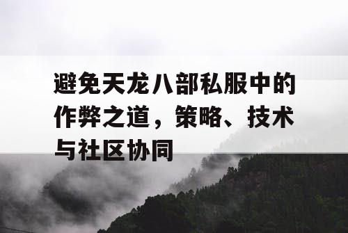 避免天龙八部私服中的作弊之道，策略、技术与社区协同