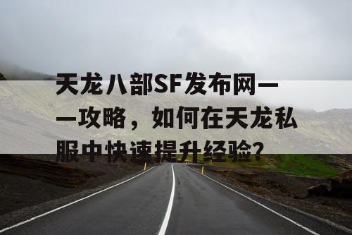 天龙八部SF发布网——攻略，如何在天龙私服中快速提升经验？