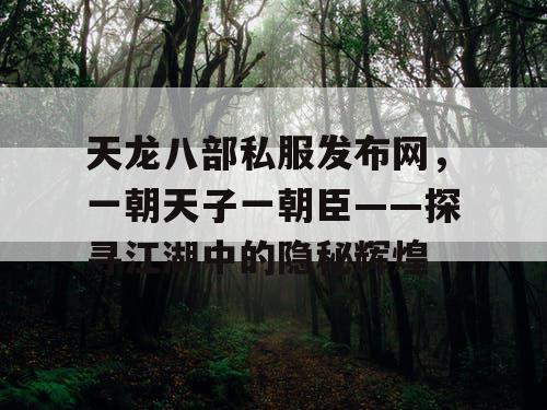 天龙八部私服发布网，一朝天子一朝臣——探寻江湖中的隐秘辉煌