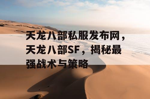 天龙八部私服发布网，天龙八部SF，揭秘最强战术与策略