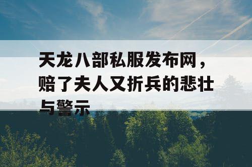 天龙八部私服发布网，赔了夫人又折兵的悲壮与警示