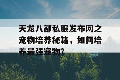 天龙八部私服发布网之宠物培养秘籍，如何培养最强宠物？