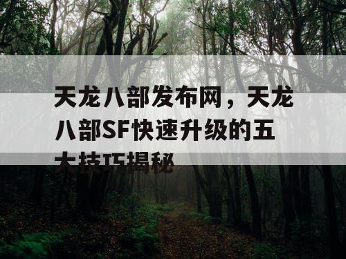 天龙八部发布网，天龙八部SF快速升级的五大技巧揭秘