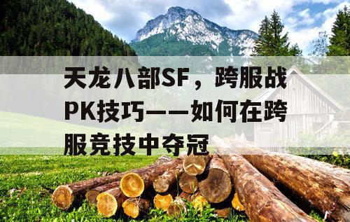 天龙八部SF，跨服战PK技巧——如何在跨服竞技中夺冠