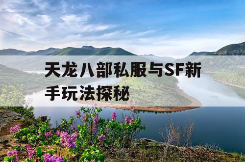 天龙八部私服与SF新手玩法探秘