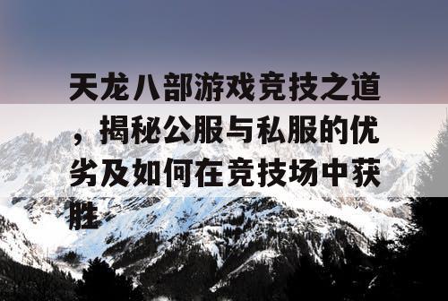 天龙八部游戏竞技之道，揭秘公服与私服的优劣及如何在竞技场中获胜